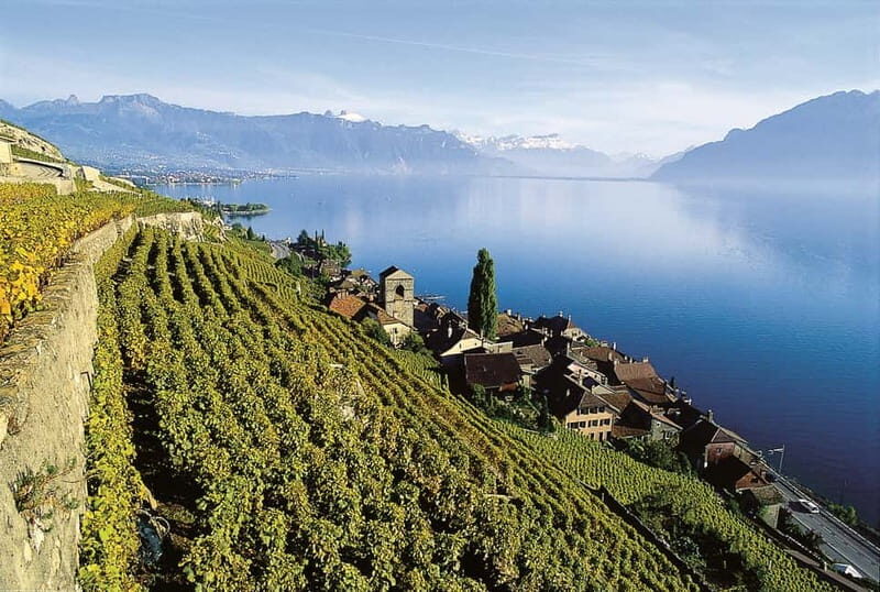 The Swiss Riviera Experience  Exclusive Private Tour - Who Would Love This Tour?