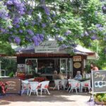 The Tastes of Tamborine Mountain - What Makes This Tour Stand Out?