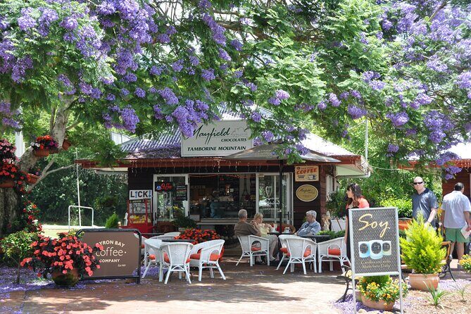The Tastes of Tamborine Mountain - What Makes This Tour Stand Out?