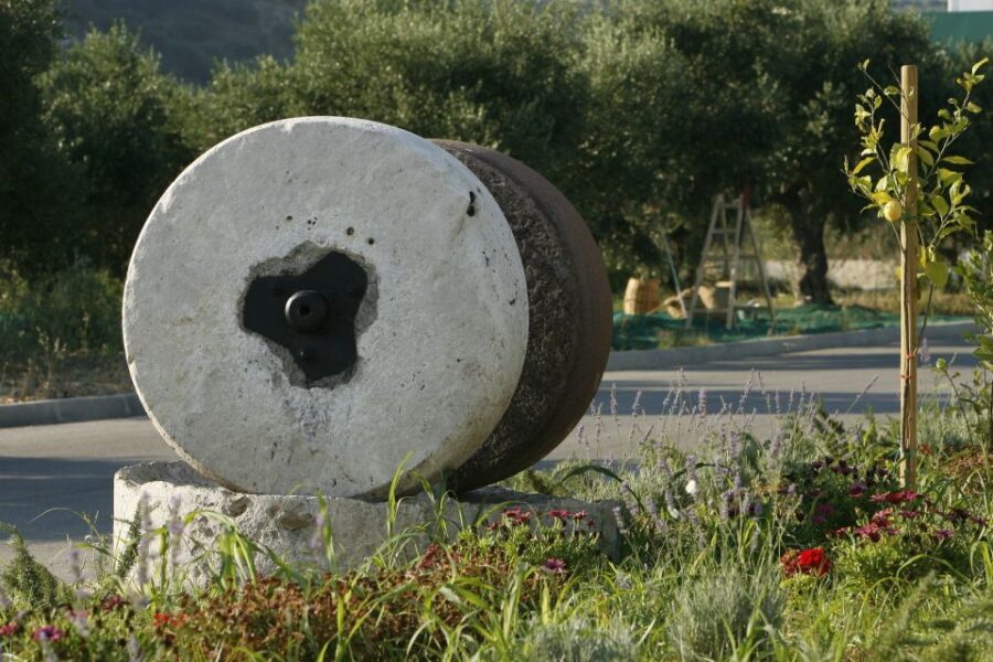 The Terra Creta Olive Oil Experience Tour - The Sum Up