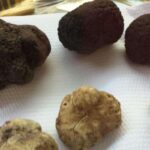 The Truffle Experience in Rome - FAQ