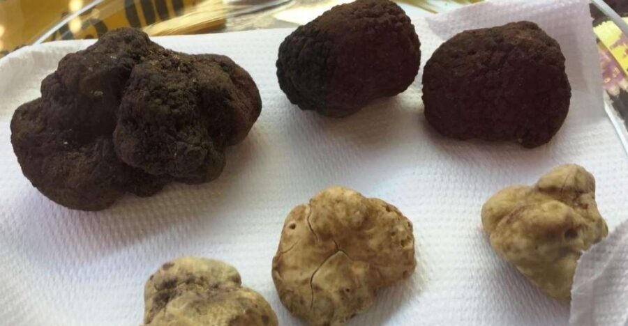 The Truffle Experience in Rome - FAQ