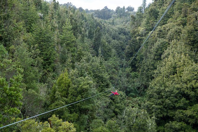 The Ultimate Canopy Zipline Experience Private Tour From Auckland - What Travelers Say: Authentic Perspectives