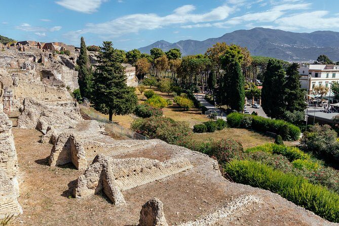 The Ultimate Ruins of Pompeii and Herculaneum Private Day Trip - The Experience in Perspective
