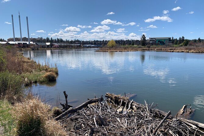 The Ultimate Scavenger Bend! (Citywide) - FAQ