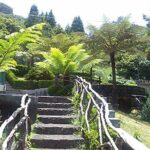 The unspoiled North East coast Tour - Exploring Madeira’s North East Coast: A Practical and Authentic Journey