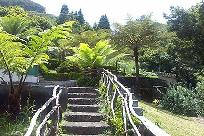 The unspoiled North East coast Tour - Exploring Madeira’s North East Coast: A Practical and Authentic Journey