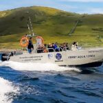 The Valentia Island Experience - An In-Depth Look at the Valentia Island Experience