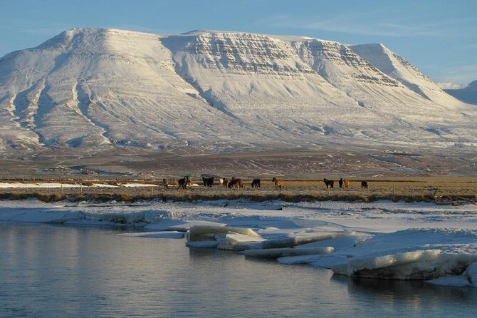 The Viking Horse Riding Experience in North Iceland - Who Will Love This Tour?