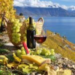 The Vine Tour from Zurich (Private Tour) - The Cheese and Wine Tasting at Vin dAlsace HORCHER