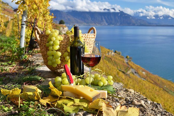 The Vine Tour from Zurich (Private Tour) - The Cheese and Wine Tasting at Vin dAlsace HORCHER