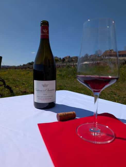 The Vineyard Watchers - A Deep Dive into the Experience