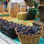 The wine route by bike - An In-Depth Look at the Romanian Bike & Wine Experience