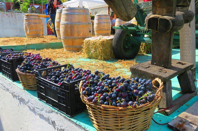 The wine route by bike - An In-Depth Look at the Romanian Bike & Wine Experience