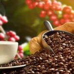 The World of Latte Art: Coffee from the Chiapas Creamy Heart - The Sum Up