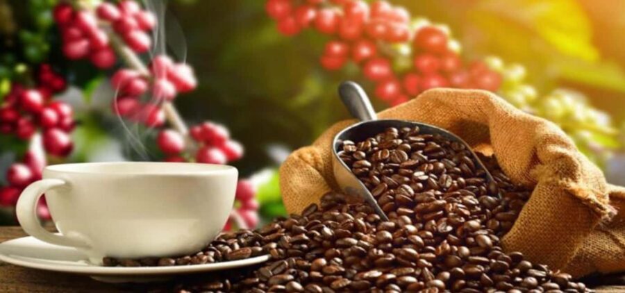 The World of Latte Art: Coffee from the Chiapas Creamy Heart - The Sum Up