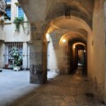 Theatrical visit of the Vieux-Lyon in French - Who Will Love This Tour?
