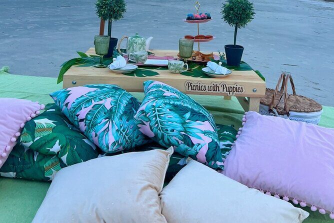 Themed Luxury Picnic - Authentic Feedback and What It Reveals