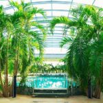 Therme Spa Ultimate Experience | Transfer - Full Access All Areas - Who Will Benefit Most?