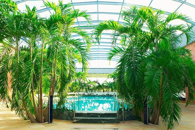 Therme Spa Ultimate Experience | Transfer - Full Access All Areas - Who Will Benefit Most?