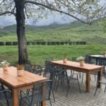 Thessaloniki: Naousa Wine Region Private Day Tour - Practicalities and Value