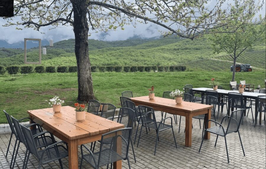 Thessaloniki: Naousa Wine Region Private Day Tour - Practicalities and Value