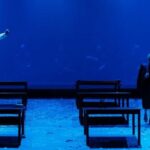Thessaloniki: The life and legacy of Stratos Dionysiou - Final Thoughts
