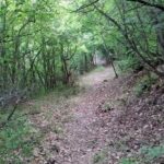 Thessaloniki to Naoussa, Wine Tasting Tour  Private Day Trip - Practical Details & Tips