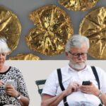 Thessaloniki: Vergina and Pella Day Trip - Lunch and Additional Highlights