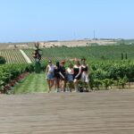 Thessaloniki: Winery Visit with Wine Tasting Experience - Practical Details and Value