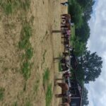 Thessaloniki:Horse Riding in a farm - Final Thoughts on the Experience