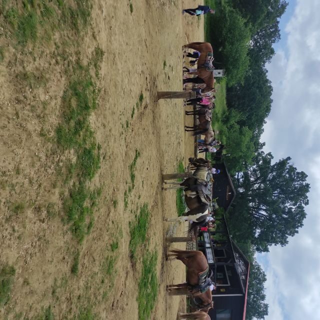 Thessaloniki:Horse Riding in a farm - Final Thoughts on the Experience