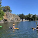 Thetis Lake: Paddle Board Tour with Gear Included - What to Expect at Each Stage