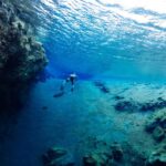 Thingvellir: Silfra Freedive Adevnture with a Guide - The Value of the Silfra Freediving Tour