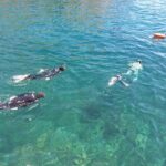 Third Island:Ileus of the Goats -Boat Trip - Why This Tour Offers Good Value