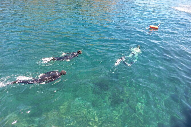 Third Island:Ileus of the Goats -Boat Trip - Why This Tour Offers Good Value