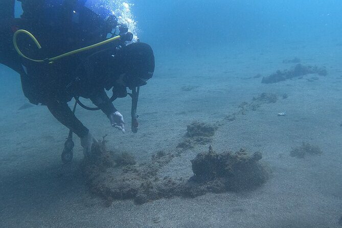 Third Island:Try Scuba in a Shipwreck-Archeological park - Frequently Asked Questions