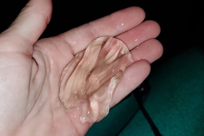 Thousand Islands Mangrove Tunnel & Bio Comb Jelly Sunset Tour - Final Thoughts