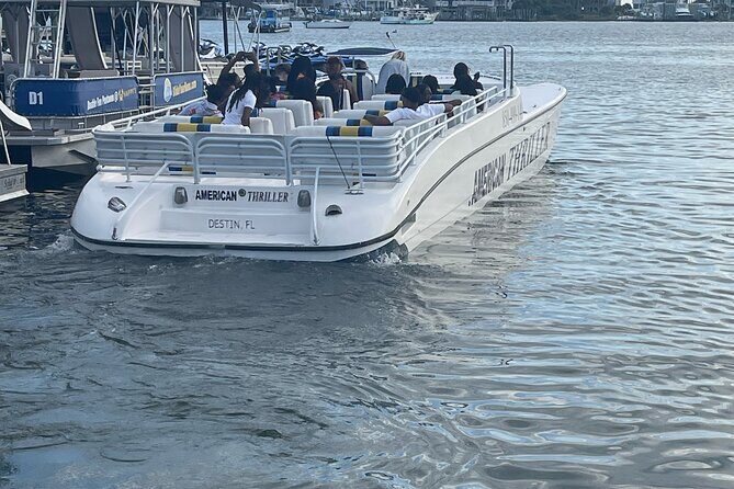 Thriller Sunset Dolphin Cruise in Destin Harbor - An In-Depth Look at the Experience