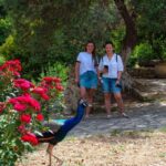 Through Heart of Crete to South & Wine Tasting Private tour - A Deep Dive Into the Crete Private Tour Experience