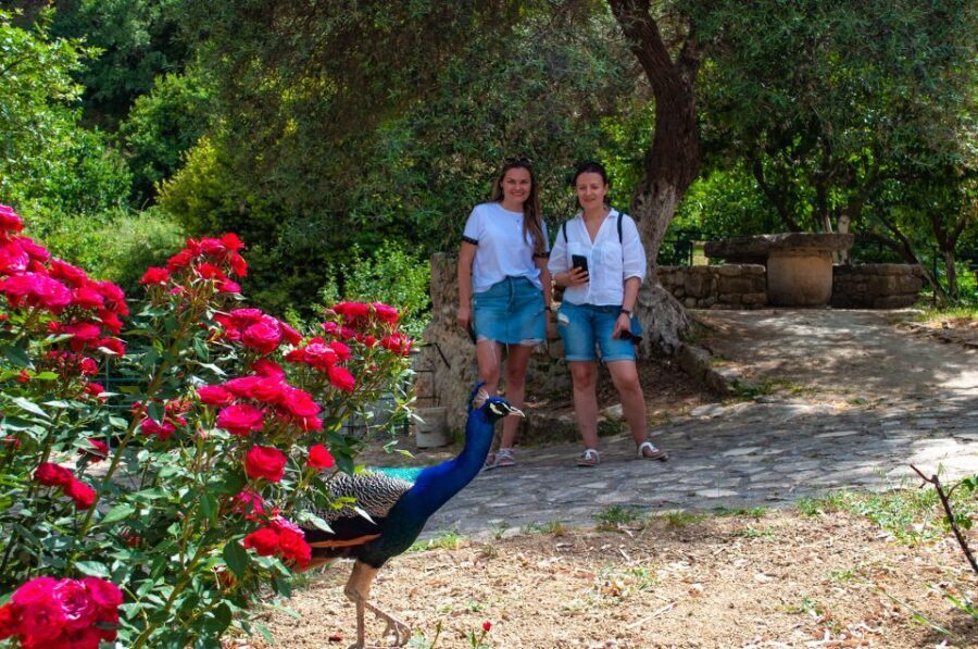 Through Heart of Crete to South & Wine Tasting Private tour - A Deep Dive Into the Crete Private Tour Experience