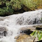 Thundering Streams and Falls of the Smokies Guided Hiking Tour - A Closer Look at the Experience