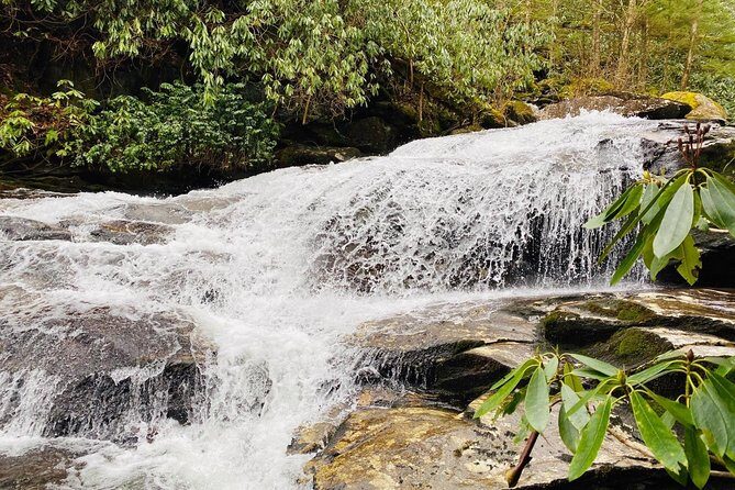 Thundering Streams and Falls of the Smokies Guided Hiking Tour - A Closer Look at the Experience
