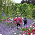 Tickets to Explore Ireland's Global Garden - Practical Details and Tips