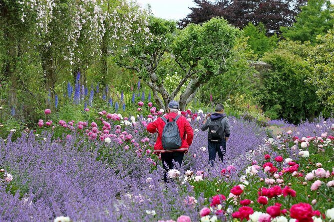 Tickets to Explore Ireland's Global Garden - Practical Details and Tips