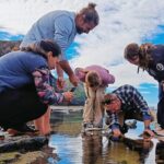 Tide Pool Safari in Monte Clérigo Beach - Authentic Encounters and Testimonials