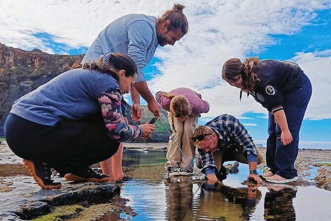 Tide Pool Safari in Monte Clérigo Beach - Authentic Encounters and Testimonials