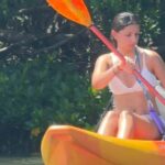 Tierra Verde: Shell Key Mangrove Private Guided 1.5 hr Tour - Who Will Love This Tour?