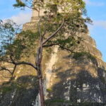 Tikal from Hotel Camino Real El Remate - All Inclusive - A Closer Look at the Tikal Tour Experience