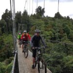 Timber Trail - Ongarue to Pureora Shuttle 2 Day Ride - Final Thoughts: Why You’ll Love the Timber Trail Experience